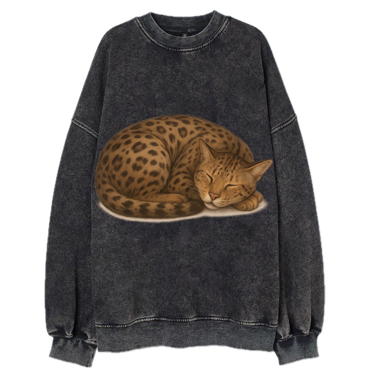 Ashera  - Vintage Sweatshirt - Black