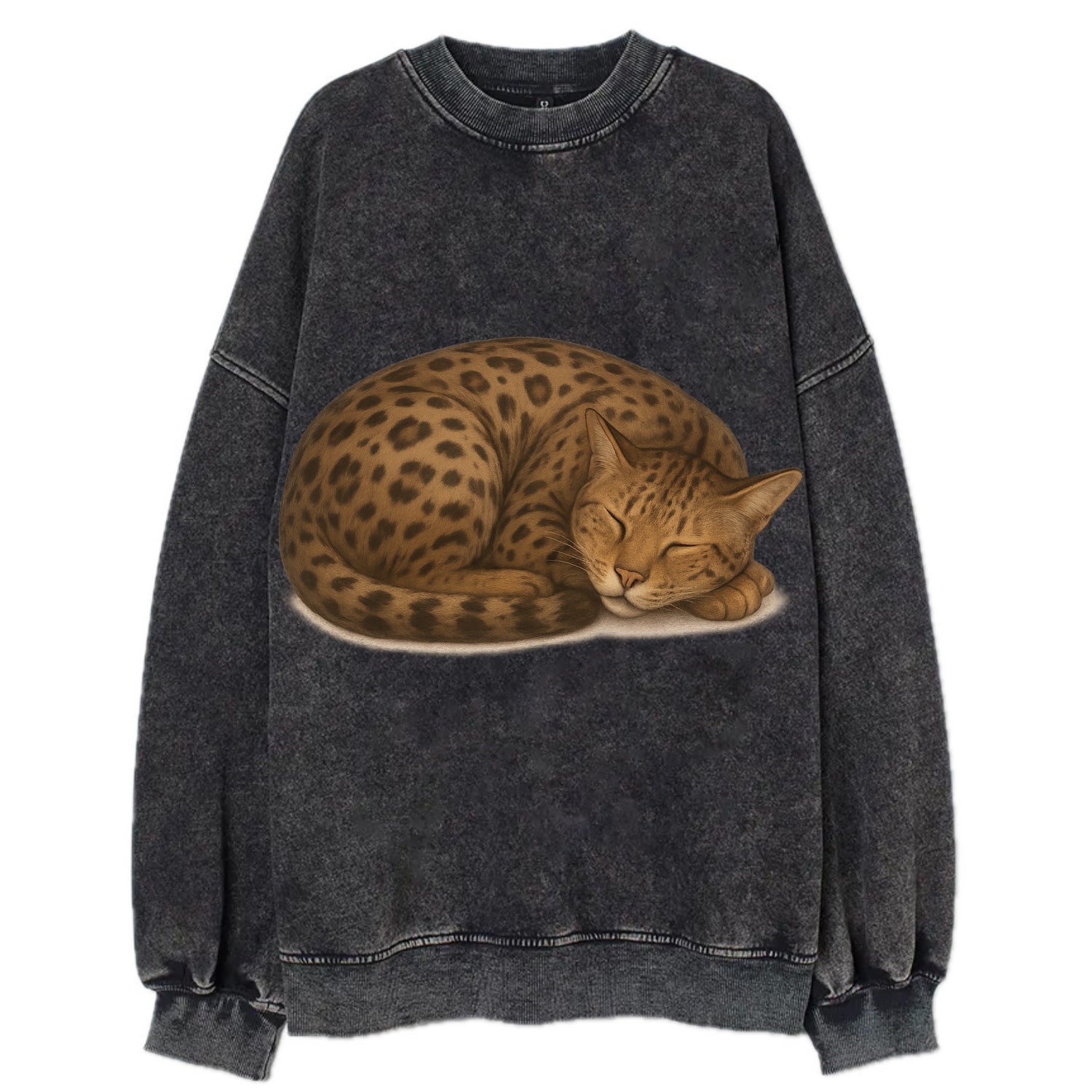 Ashera  - Vintage Sweatshirt - Black