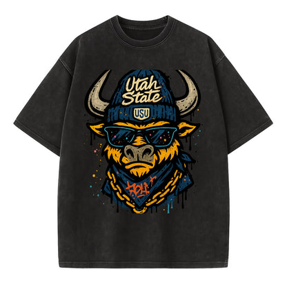 Logan Aggie wearing Utah State beanie with USU patch - Vintage T-shirt - Black