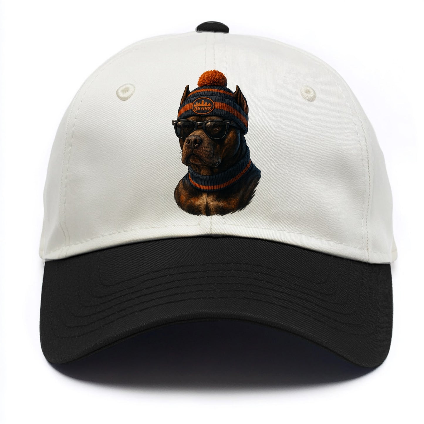 Chicago Pitbull wearing Bears beanie with skyline patch and wayfarer sunglasses - Two Tone Cap - Black