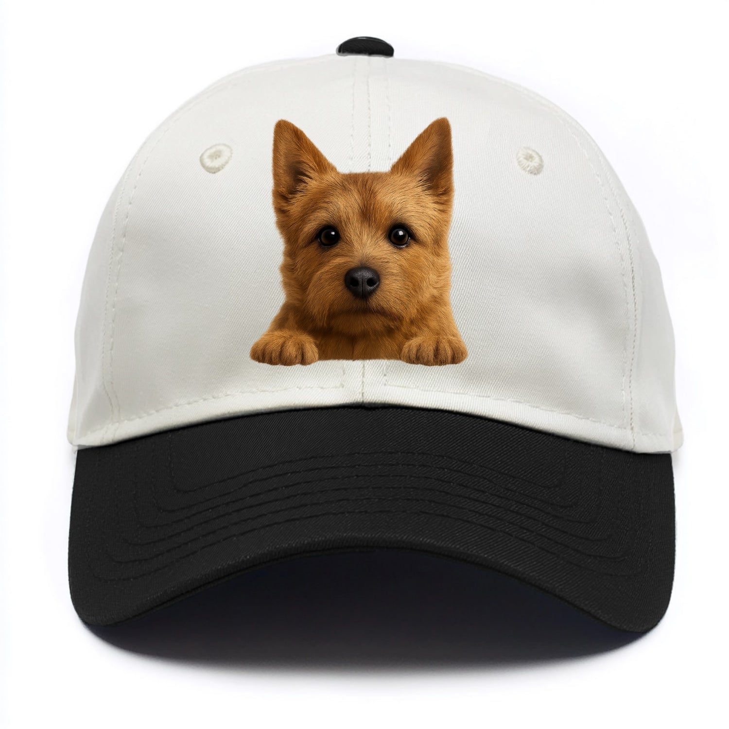 Norwich Terrier  - Two Tone Cap - Black