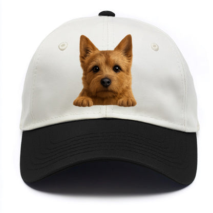 Norwich Terrier  - Two Tone Cap - Black