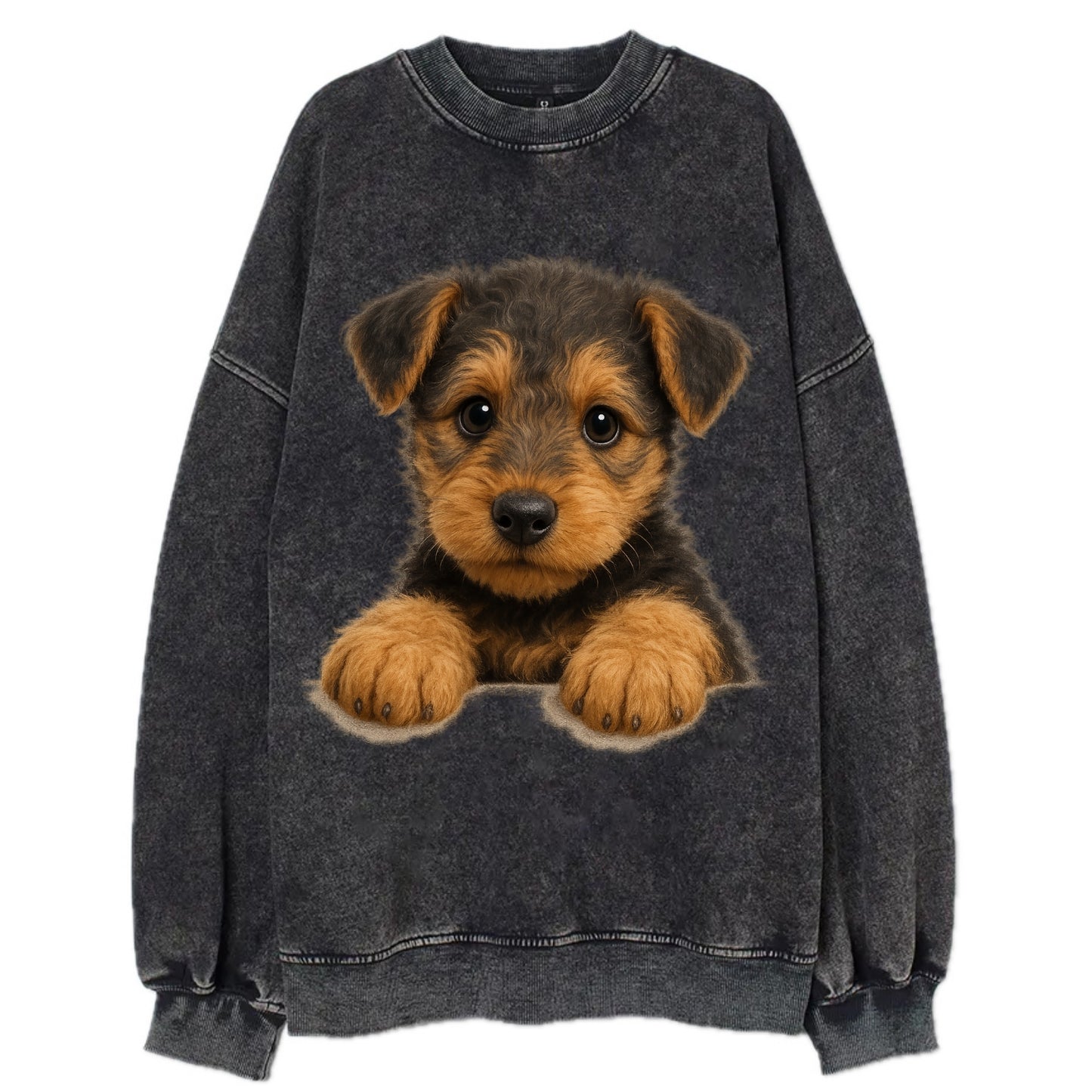 Airedale Terrier  - Vintage Sweatshirt - Black