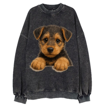 Airedale Terrier  - Vintage Sweatshirt - Black