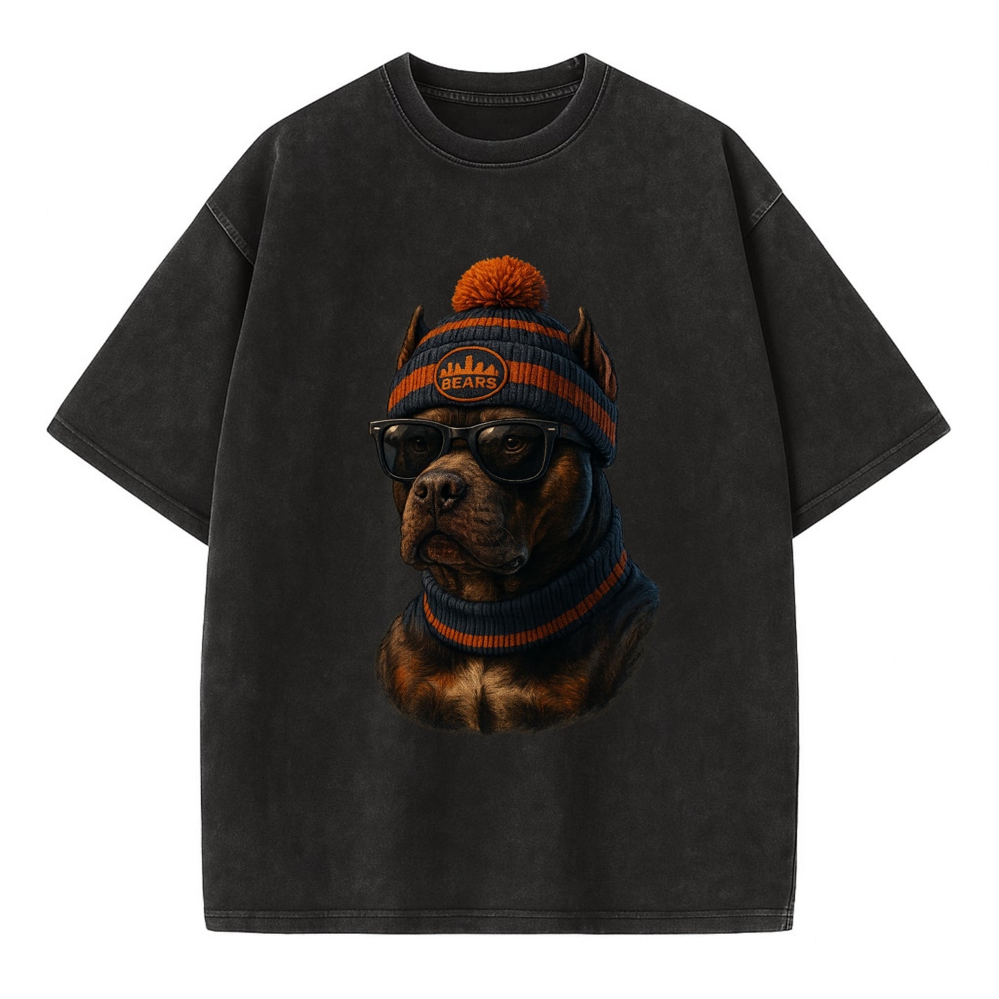 Chicago Pitbull wearing Bears beanie with skyline patch and wayfarer sunglasses - Vintage T-shirt - Black