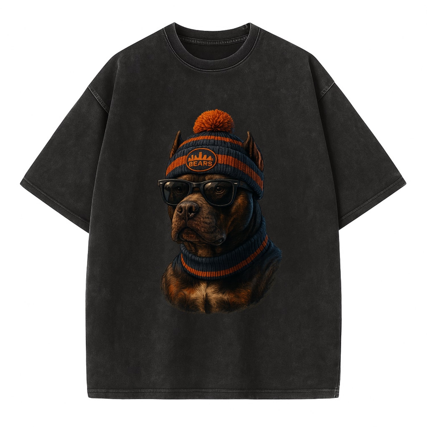 Chicago Pitbull wearing Bears beanie with skyline patch and wayfarer sunglasses - Vintage T-shirt - Black