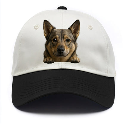 Swedish Vallhund  - Two Tone Cap - Black