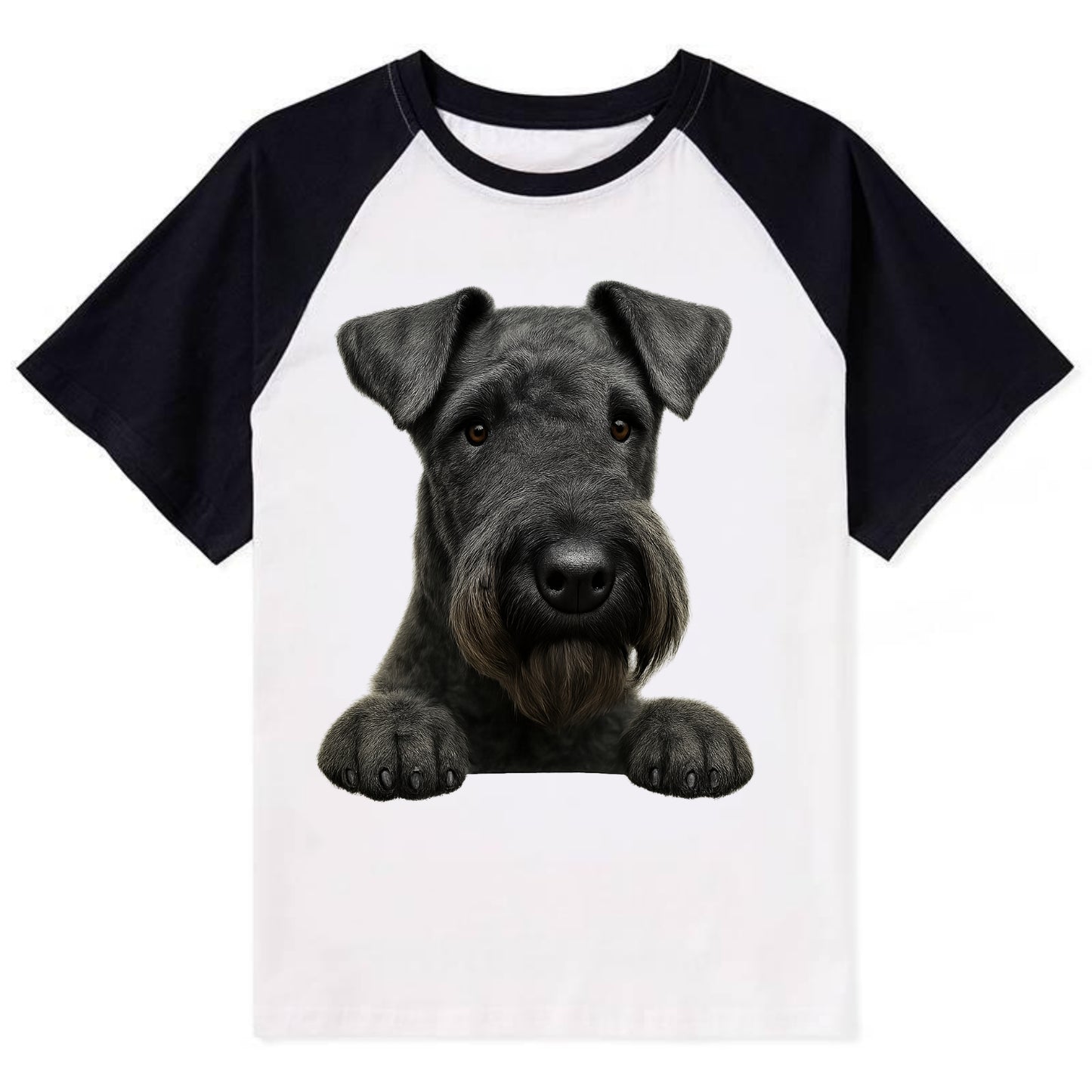 Kerry Blue Terrier  - Contrast Raglan T-shirt - Black