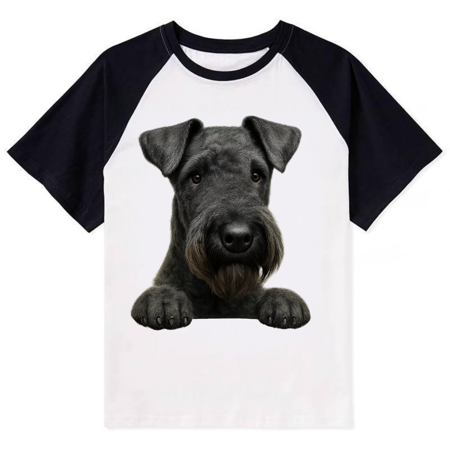 Kerry Blue Terrier  - Contrast Raglan T-shirt - Black