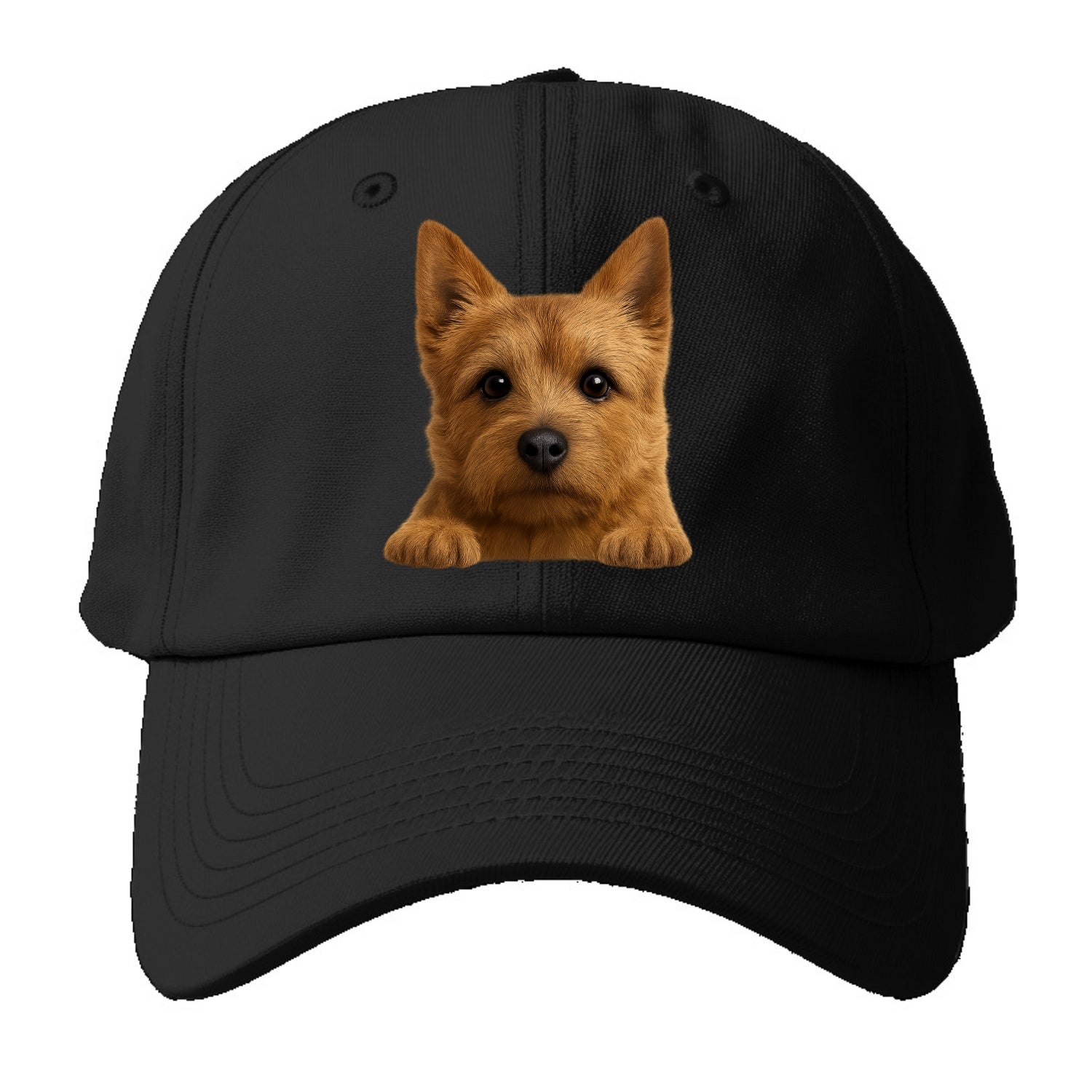 Norwich Terrier  - Baseball Cap - Black