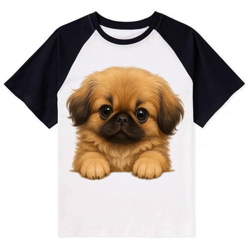 Pekingese  - Contrast Raglan T-shirt