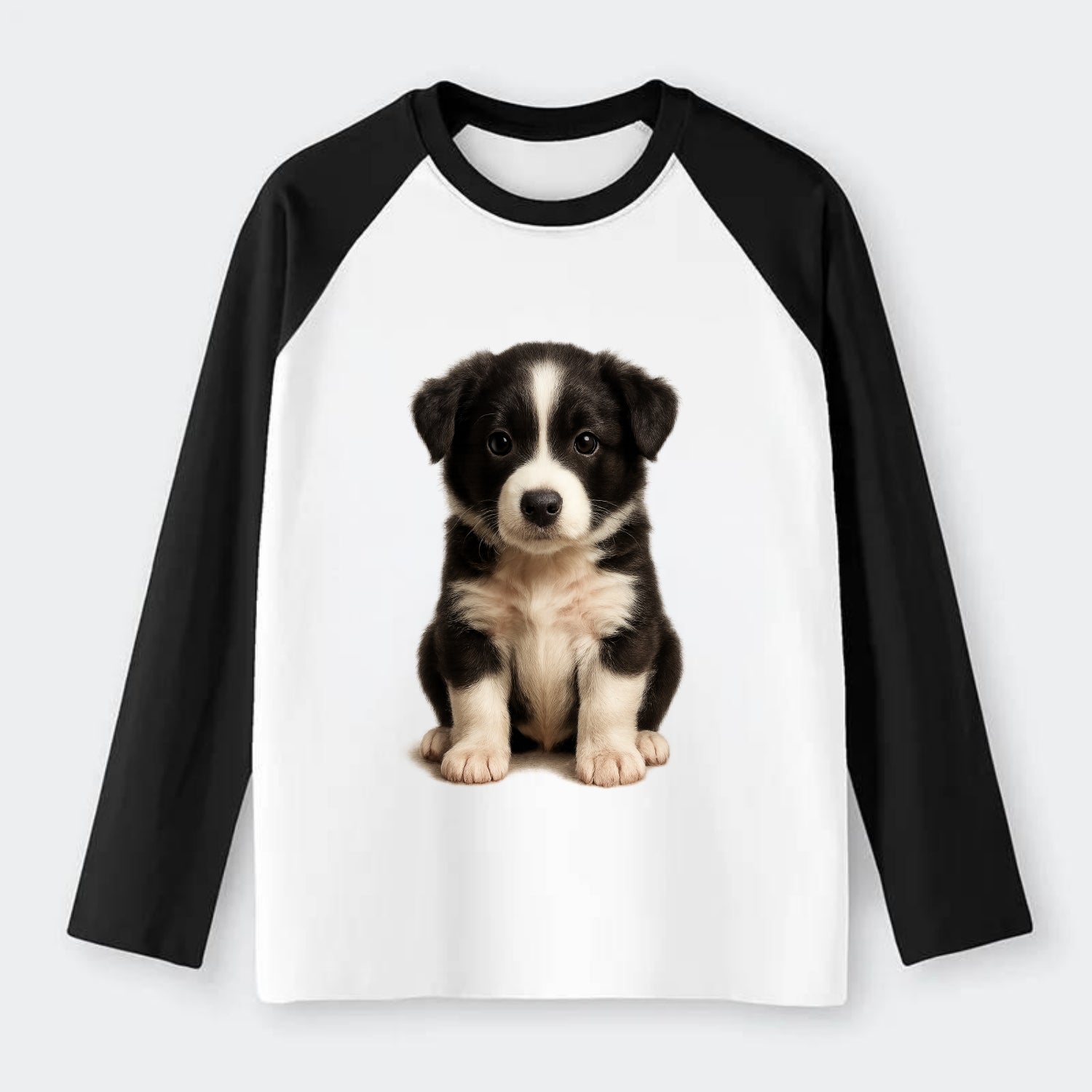 Baby Border Collie Puppy - black and white, intense smart eyes, - Raglan Long Sleeve T-Shirt - Black