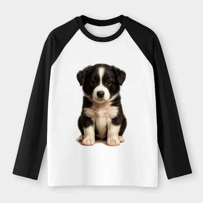 Baby Border Collie Puppy - black and white, intense smart eyes, - Raglan Long Sleeve T-Shirt - Black