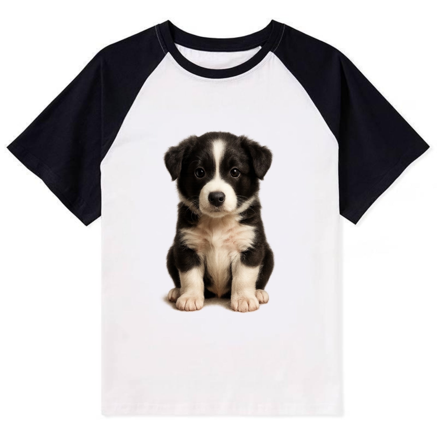 Baby Border Collie Puppy - black and white, intense smart eyes, athletic - Contrast Raglan T-shirt - Black