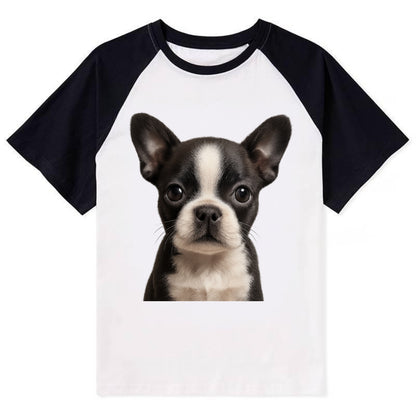 Baby Boston Terrier Puppy - tuxedo markings, big round eyes, bat ears, - Contrast Raglan T-shirt - Black