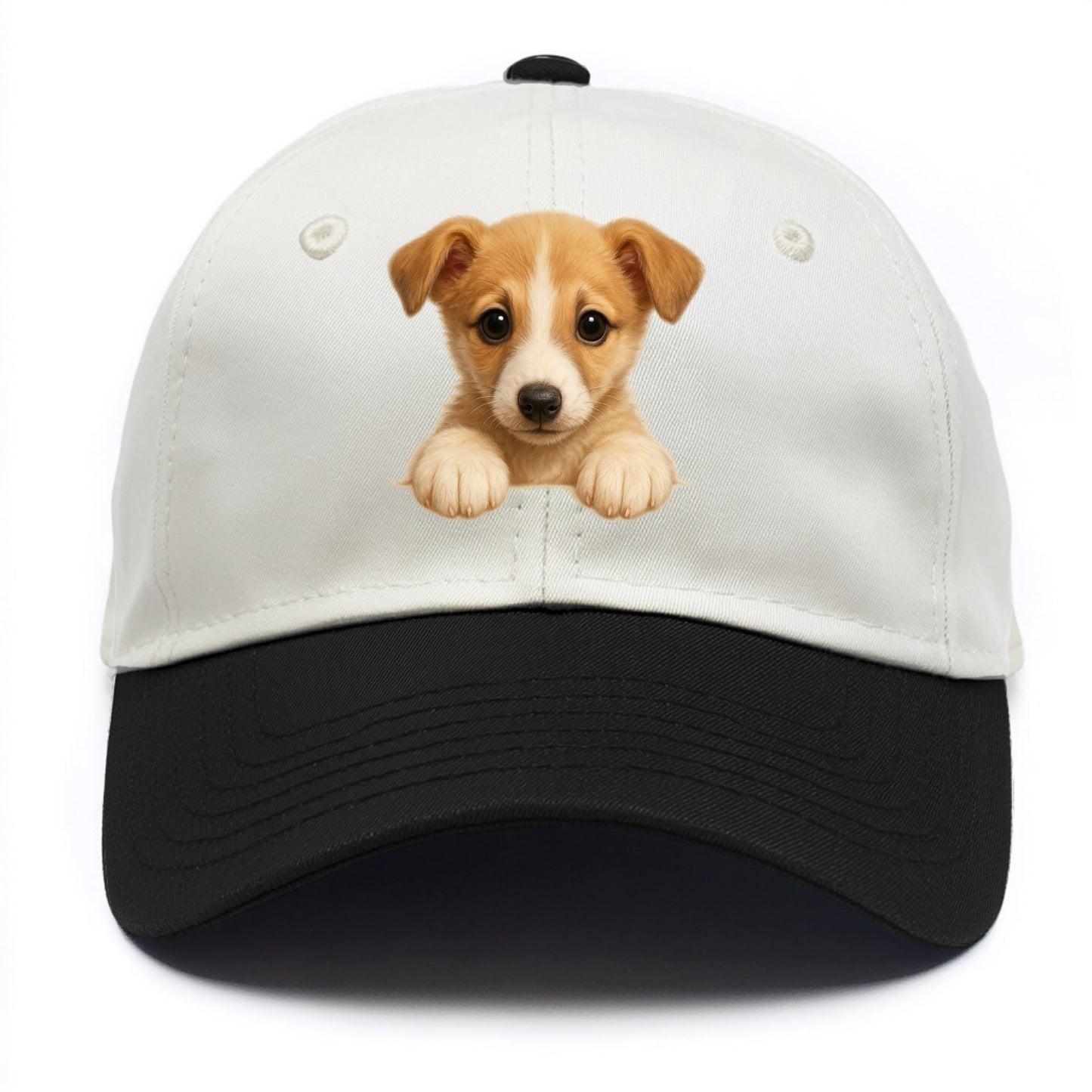 Whippet  - Two Tone Cap - Black
