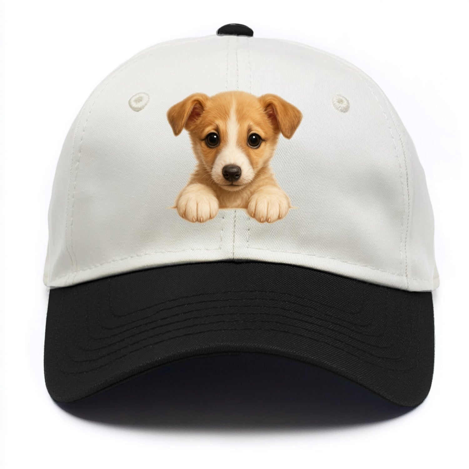 Whippet  - Two Tone Cap - Black