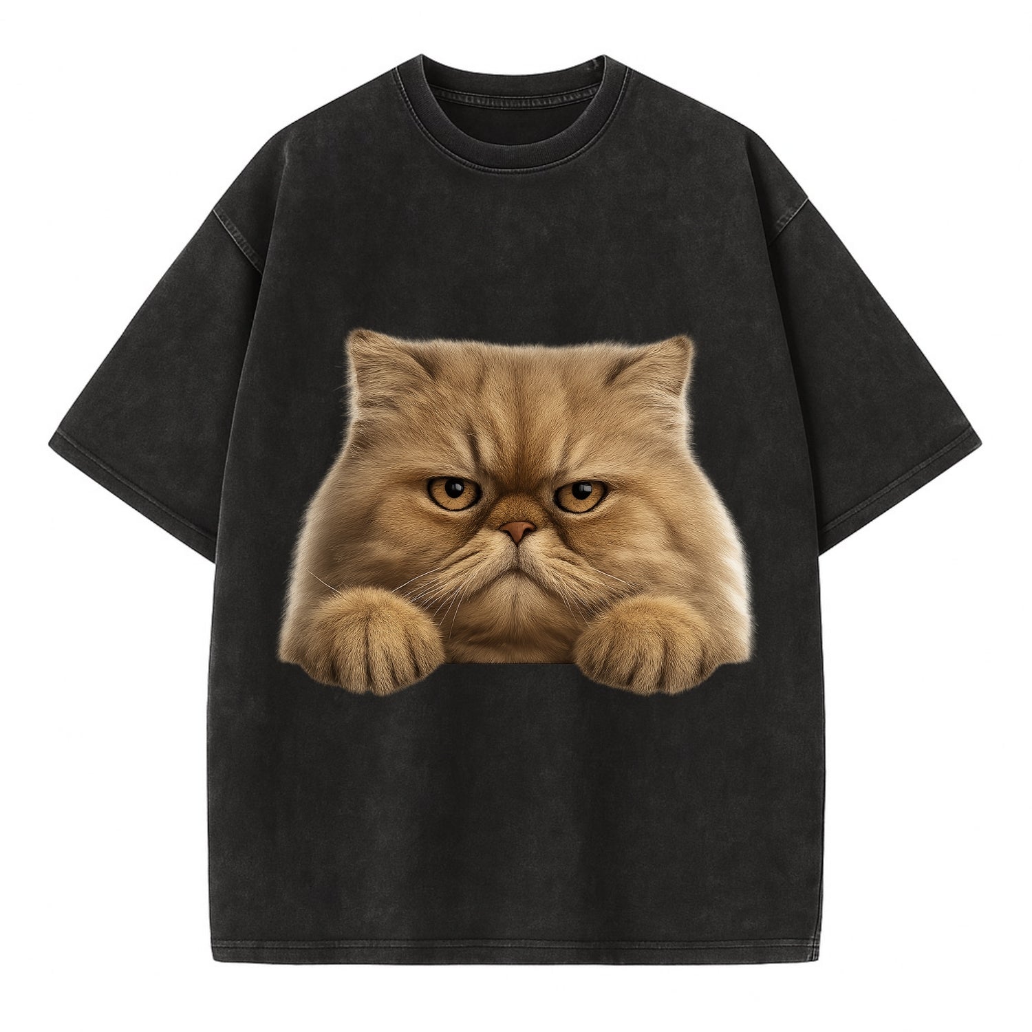 Persian Cat  - Vintage T-shirt - Black