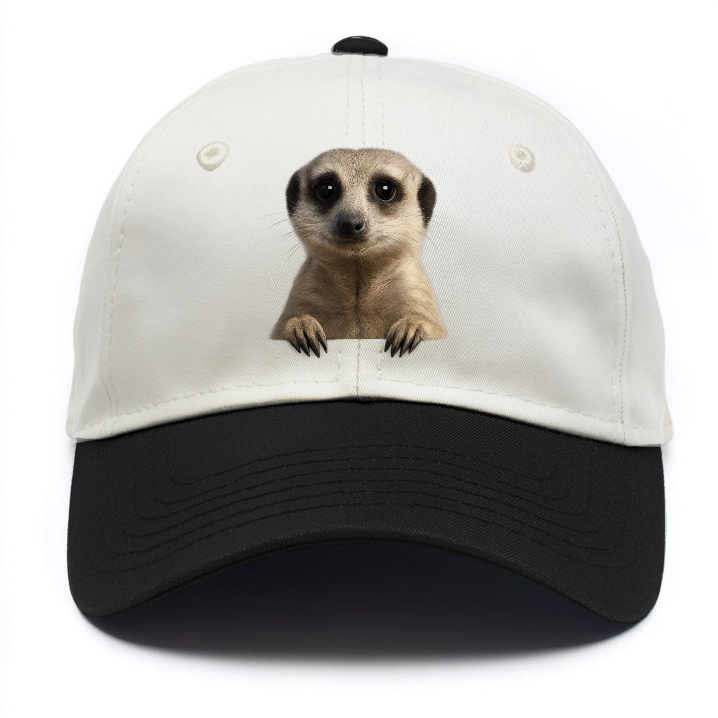 Meerkat  - Two Tone Cap - Black
