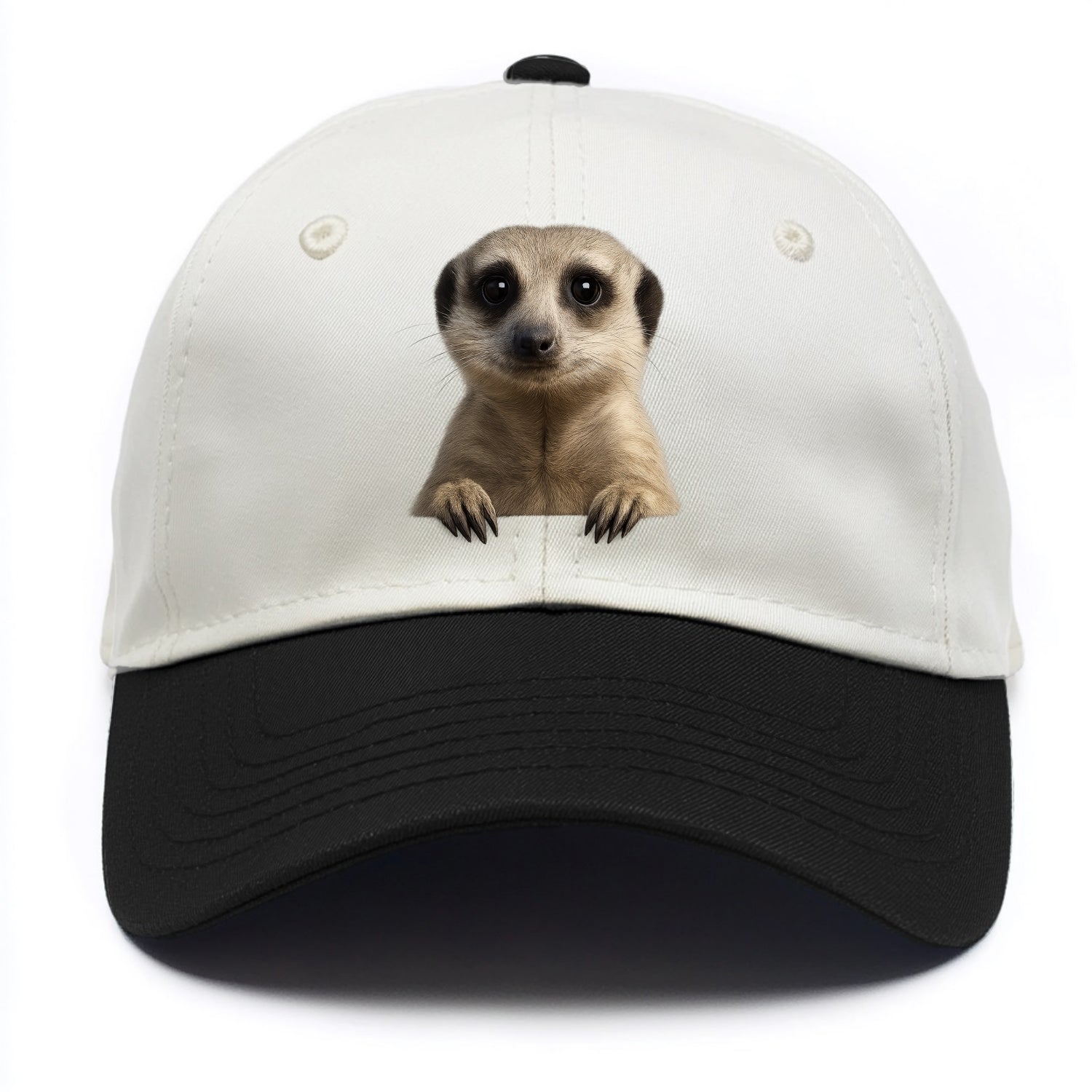 Meerkat  - Two Tone Cap - Black