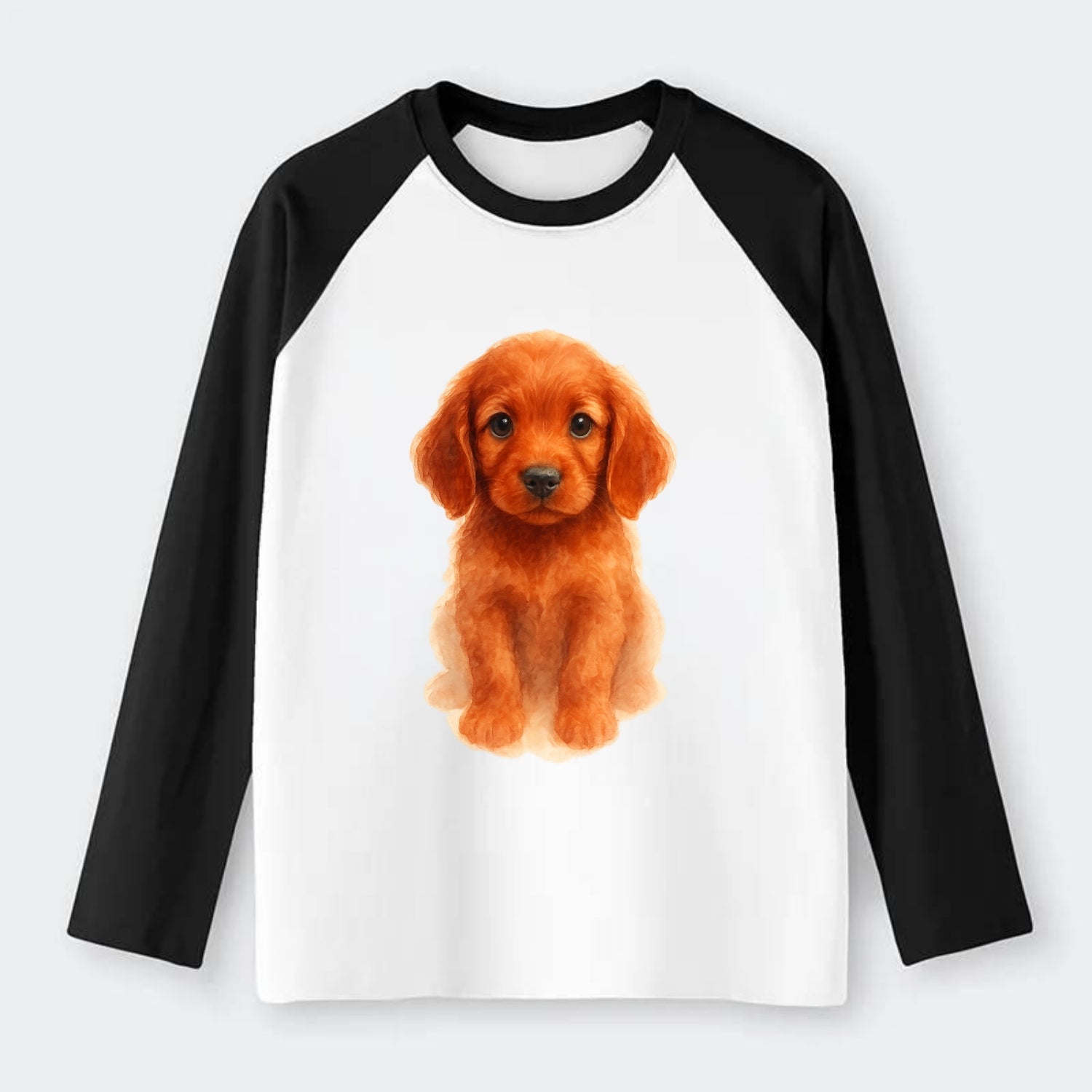 Baby Irish Setter Puppy - mahogany red coat, feathered ears, friendly - Raglan Long Sleeve T-Shirt - Black