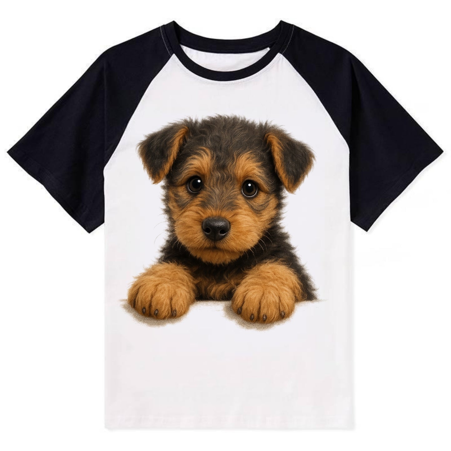 Airedale Terrier  - Contrast Raglan T-shirt - Black