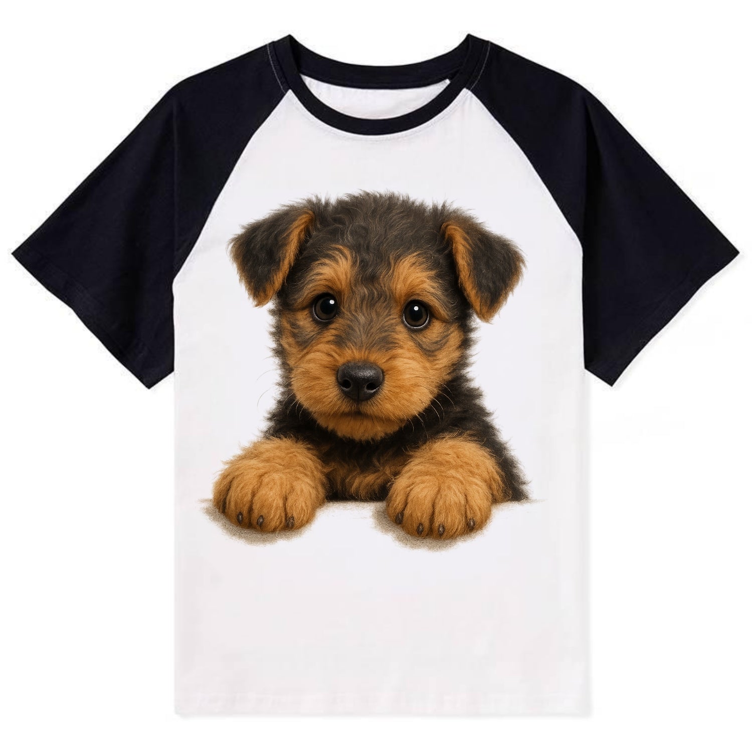 Airedale Terrier  - Contrast Raglan T-shirt - Black