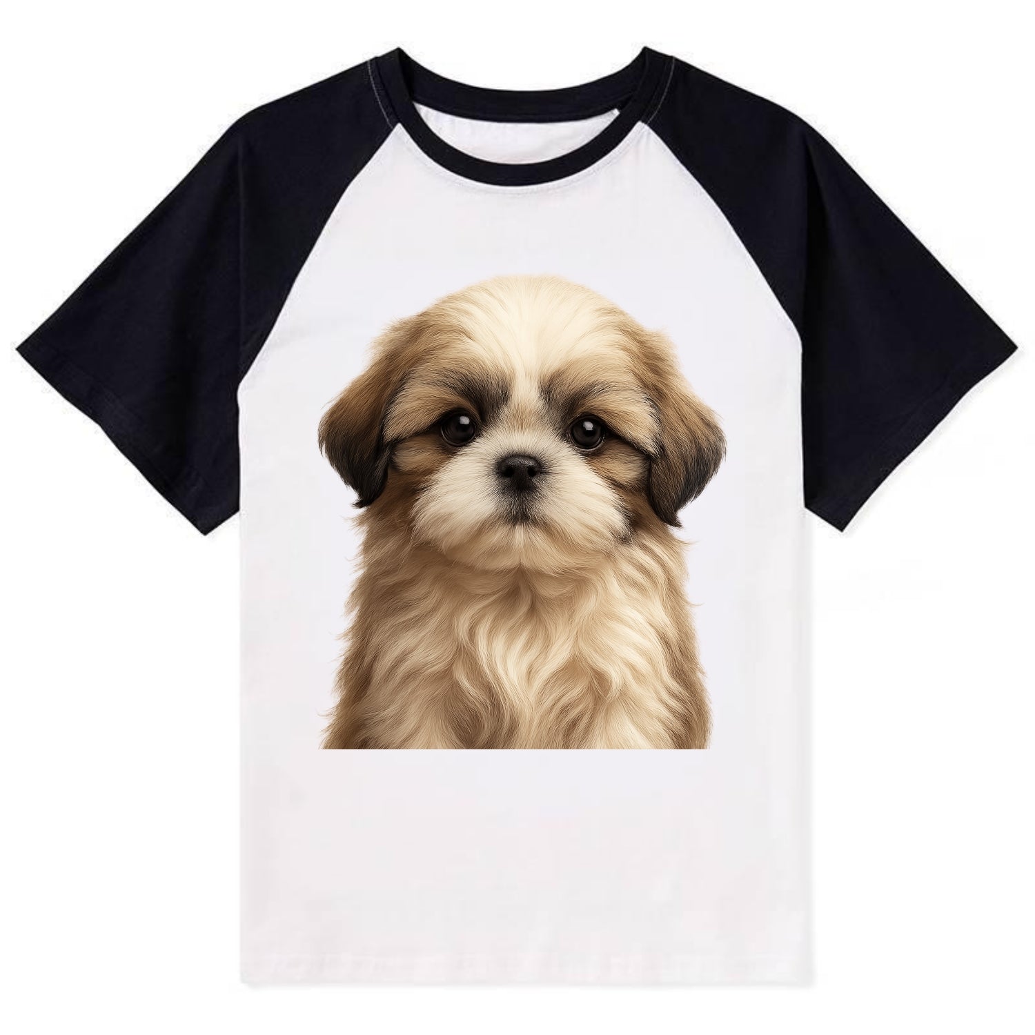 Baby Shih Tzu Puppy - long flowing coat, flat face, big dark eyes, - Contrast Raglan T-shirt - Black