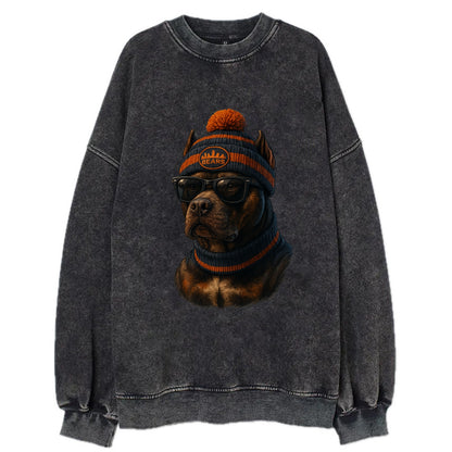 Chicago Pitbull wearing Bears beanie with skyline patch and wayfarer sunglasses - Vintage Sweatshirt - Black