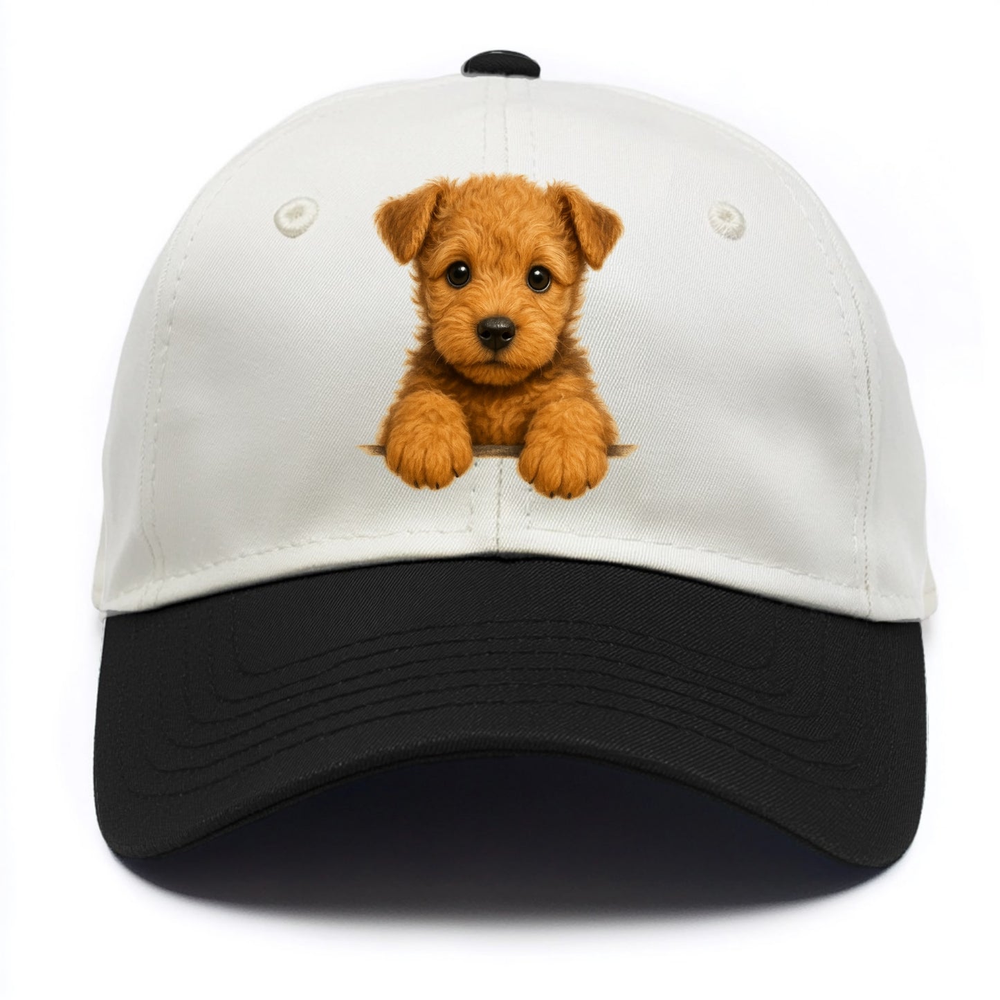 Lakeland Terrier  - Two Tone Cap - Black