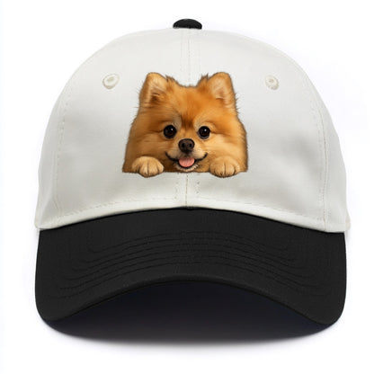 Pomeranian  - Two Tone Cap - Black