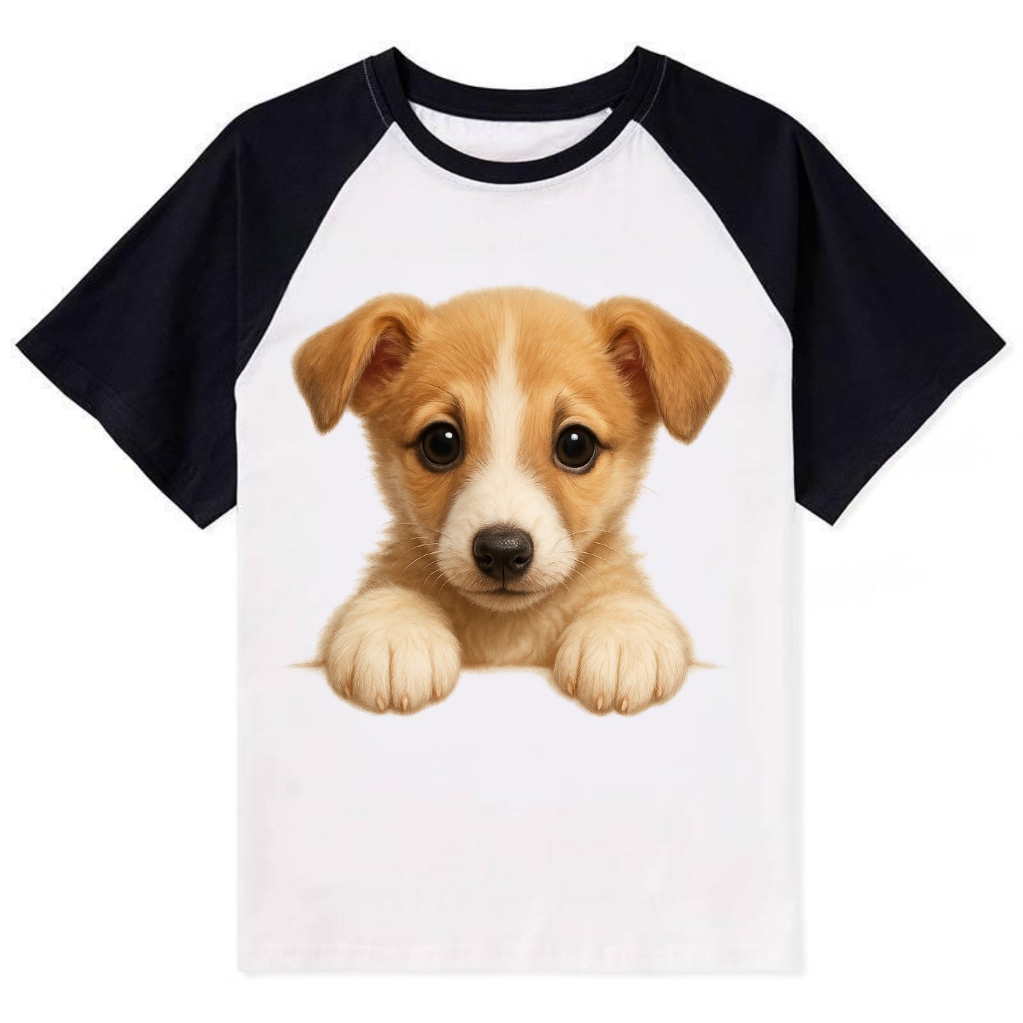 Whippet  - Contrast Raglan T-shirt - Black