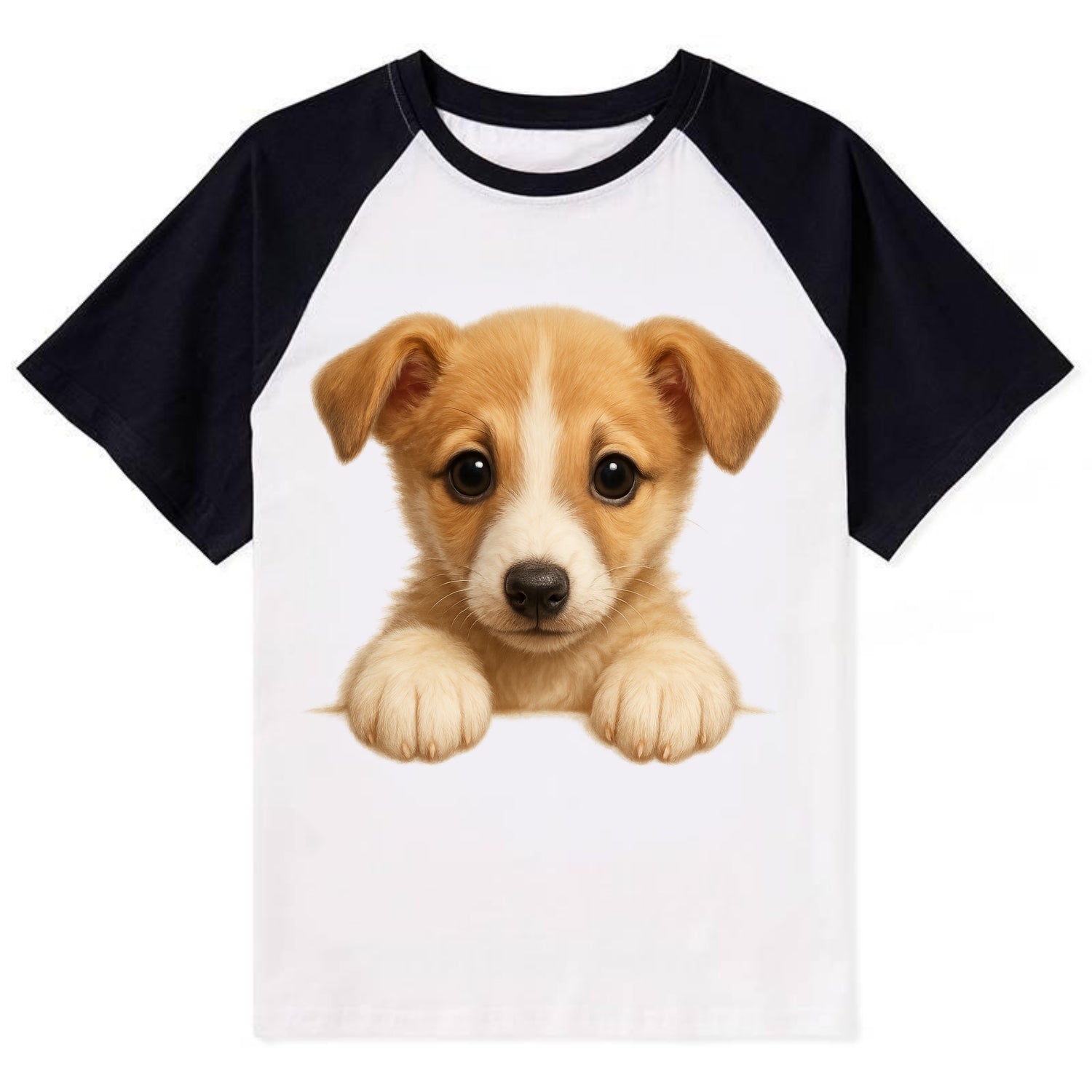 Whippet  - Contrast Raglan T-shirt - Black