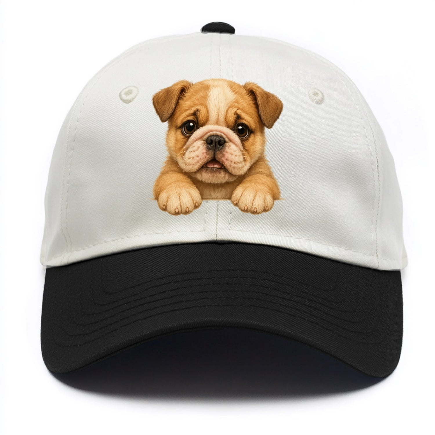 Bulldog  - Two Tone Cap - Black