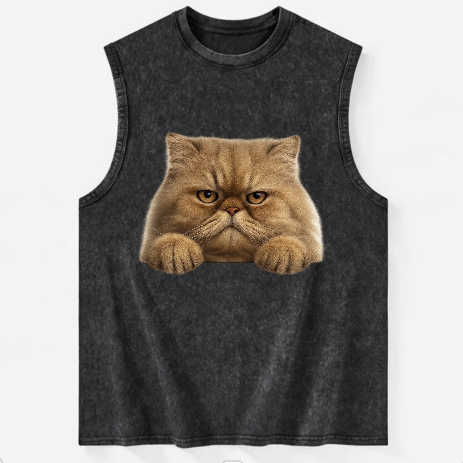 Persian Cat  - Vintage Washed Tank - Black