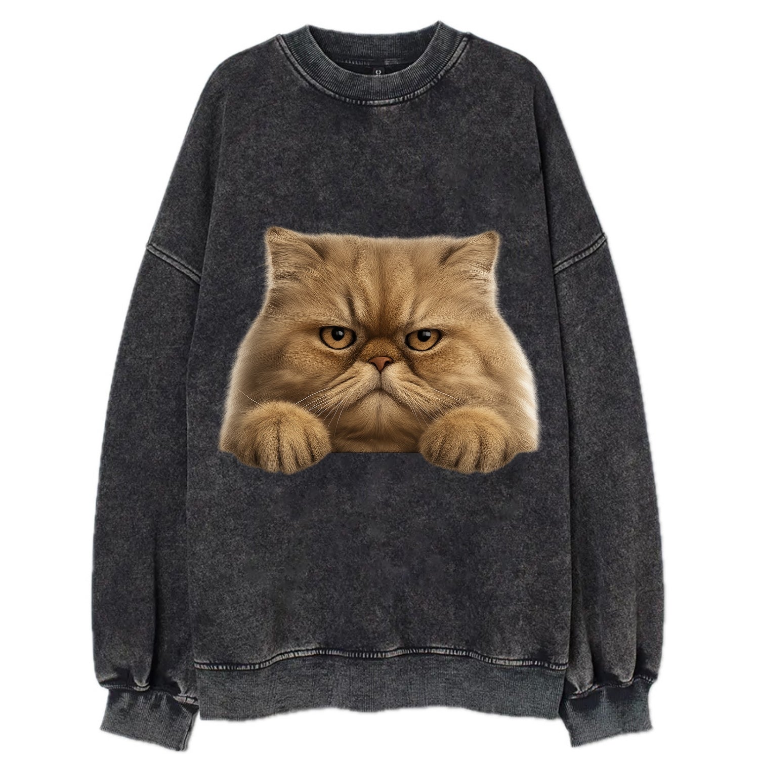 Persian Cat  - Vintage Sweatshirt - Black