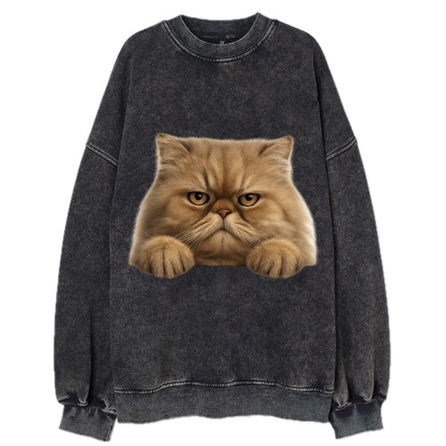 Persian Cat  - Vintage Sweatshirt