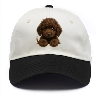 Irish Water Spaniel  - Two Tone Cap - Black
