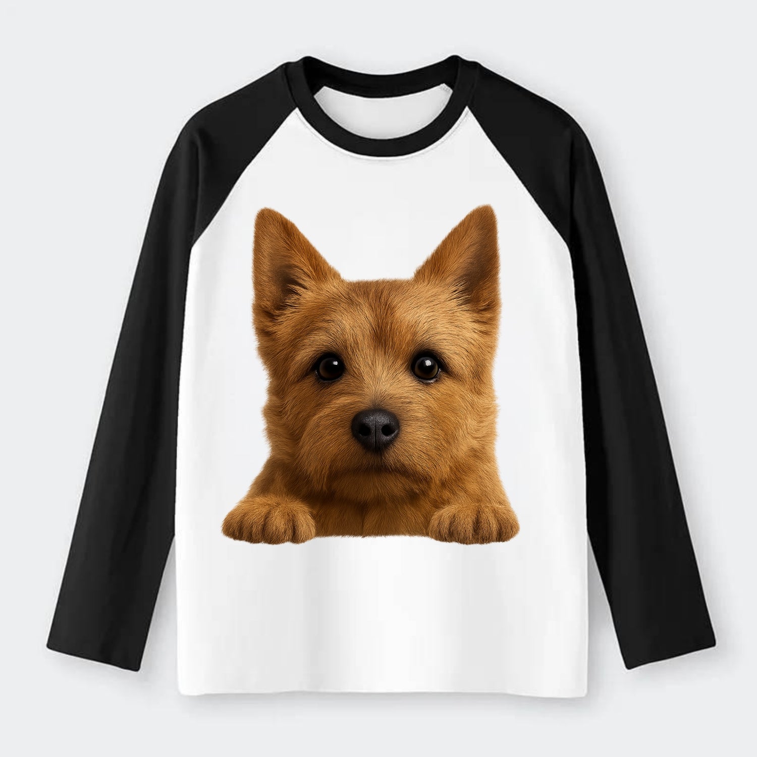 Norwich Terrier  - Raglan Long Sleeve T-Shirt - Black
