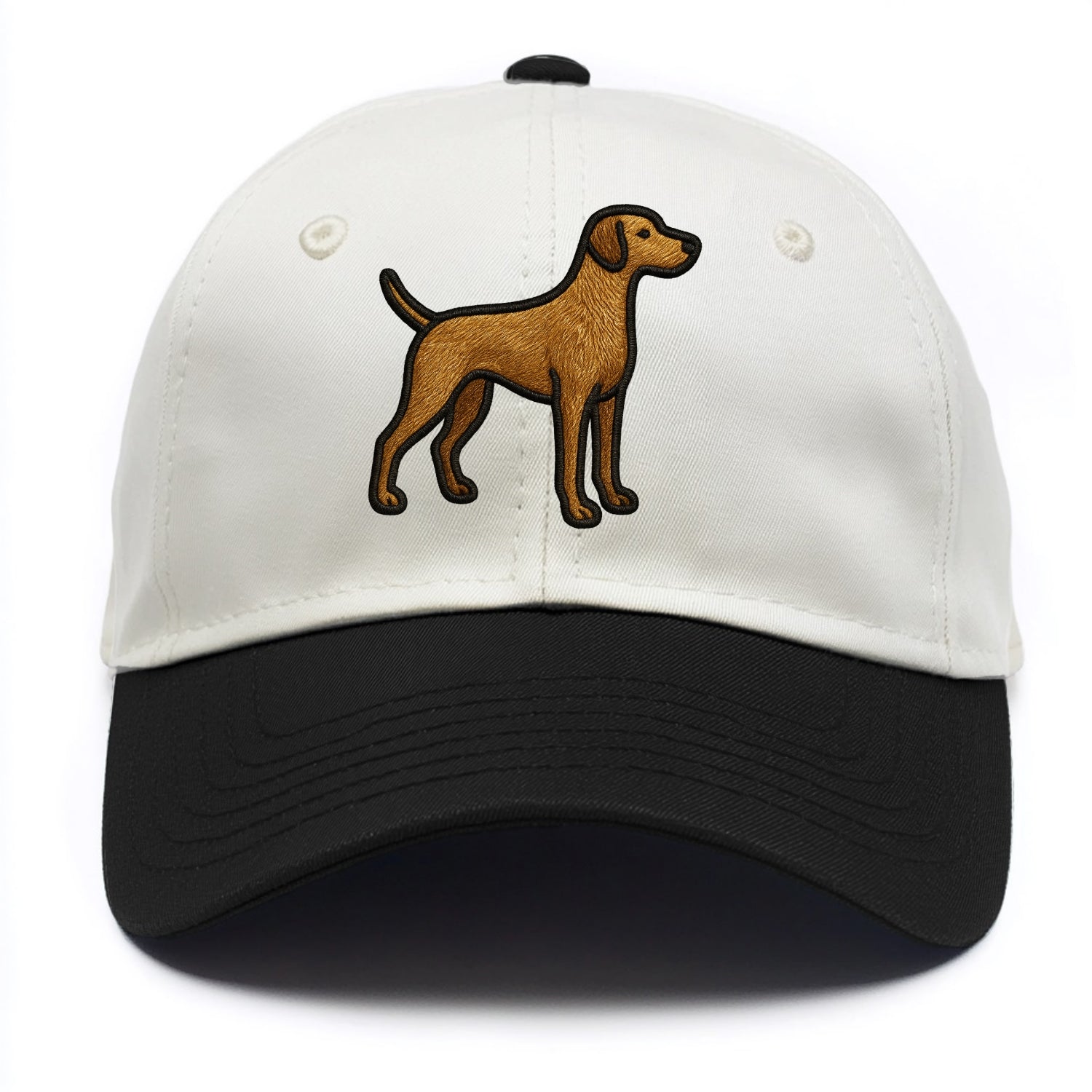 Pointer - Contemporary athletic design w - Two Tone Cap - Black