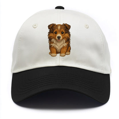 Baby Shetland Sheepdog Puppy - mini collie look, flowing mane, intelligent eyes, - Two Tone Cap - Black