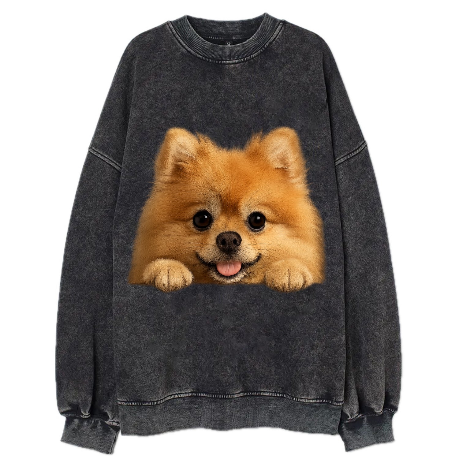 Pomeranian  - Vintage Sweatshirt - Black