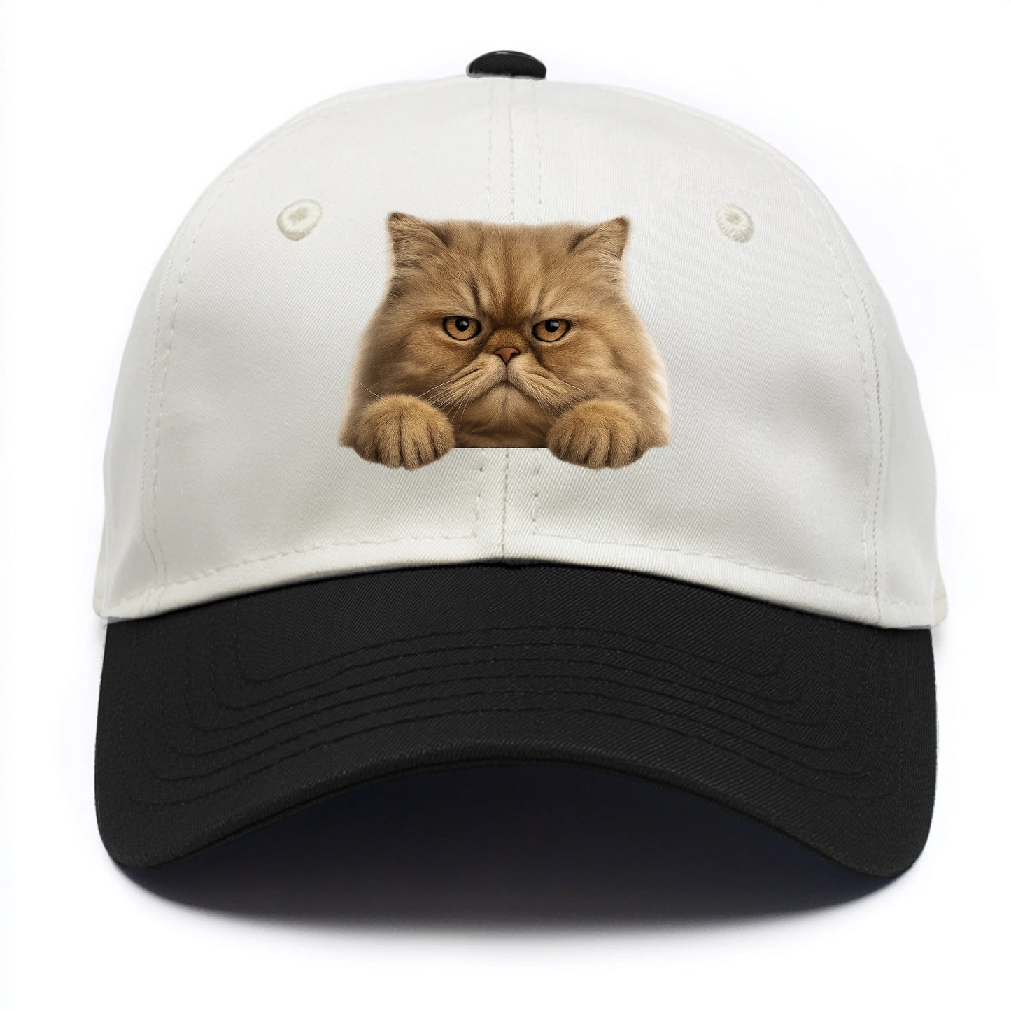 Persian Cat  - Two Tone Cap - Black