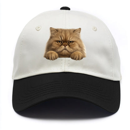 Persian Cat  - Two Tone Cap - Black