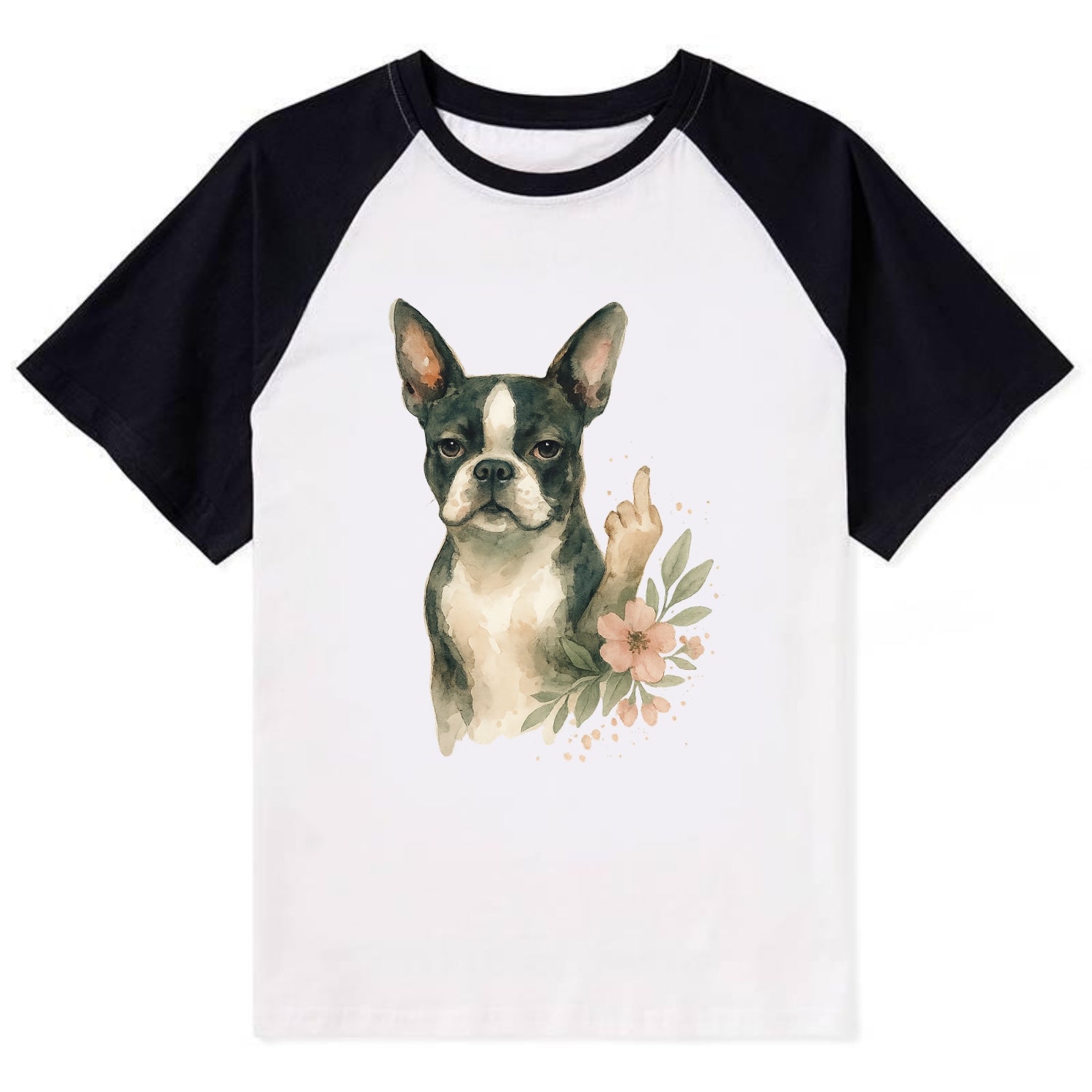 Boston Terrier with tuxedo markings, perky ears, paw up giving sass - Contrast Raglan T-shirt - Black