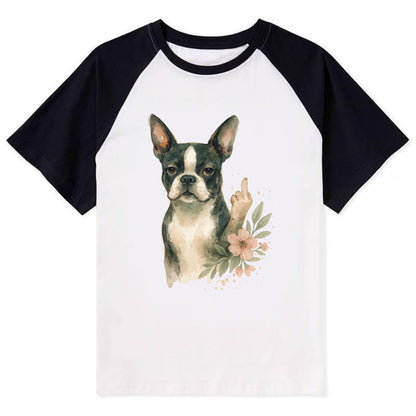 Boston Terrier with tuxedo markings, perky ears, paw up giving sass - Contrast Raglan T-shirt - Black