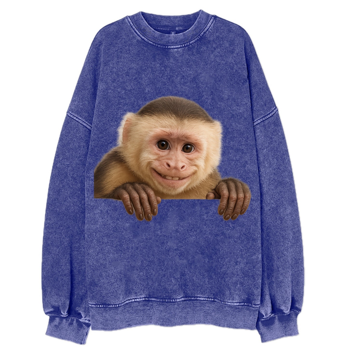 Capuchin Monkey  - Vintage Sweatshirt - Blue