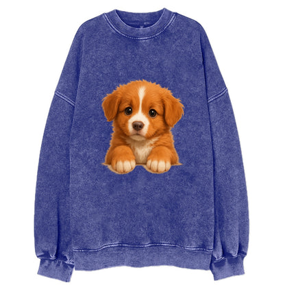 Nova Scotia Duck Tolling Retriever  - Vi - Vintage Sweatshirt - Blue