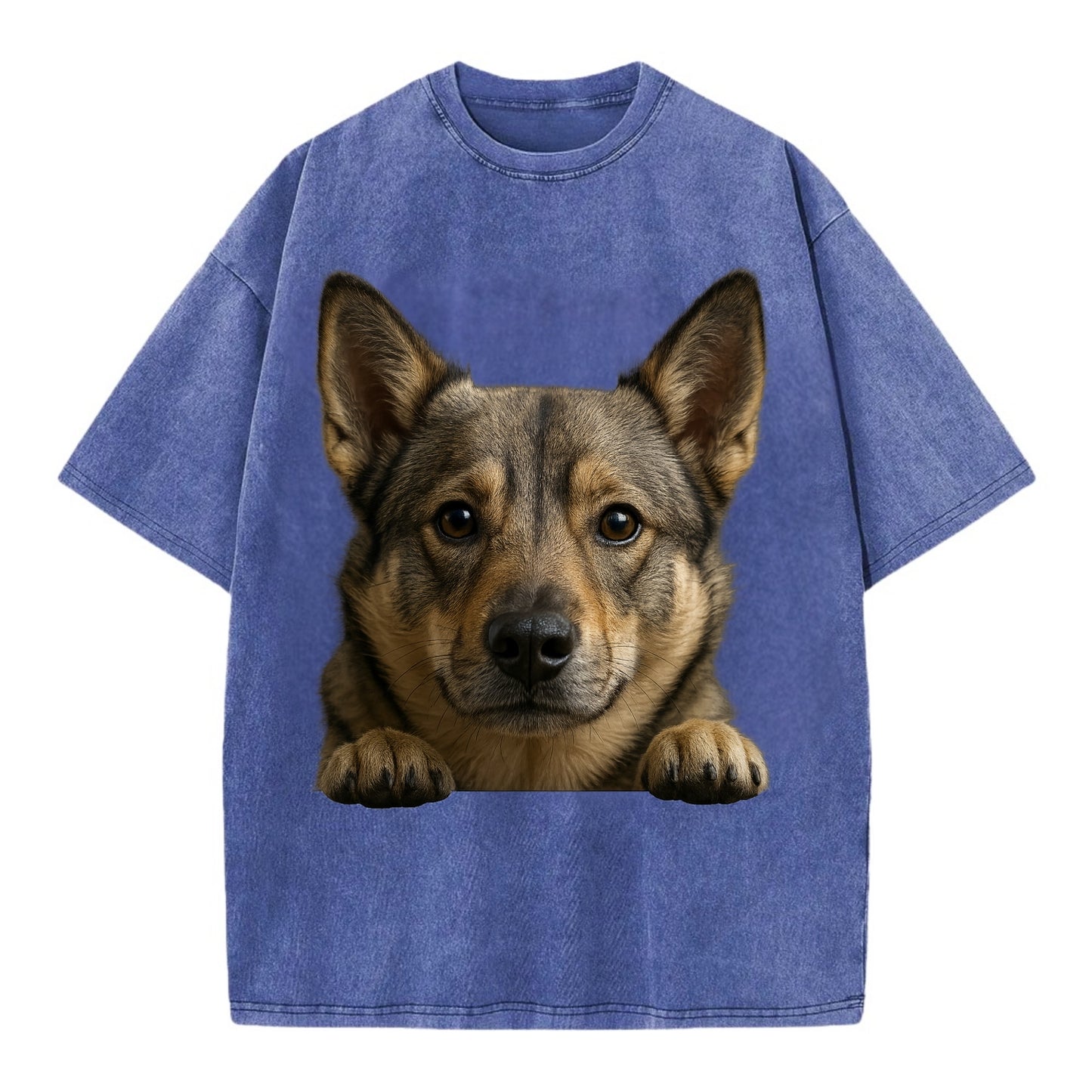 Swedish Vallhund  - Vintage T-shirt - Blue