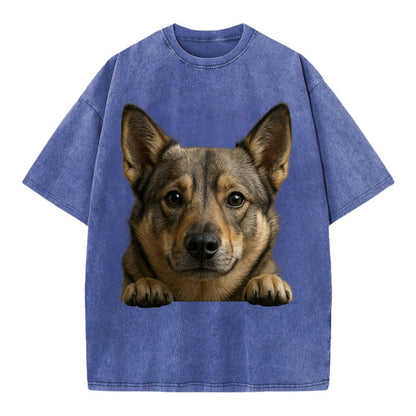 Swedish Vallhund  - Vintage T-shirt - Blue